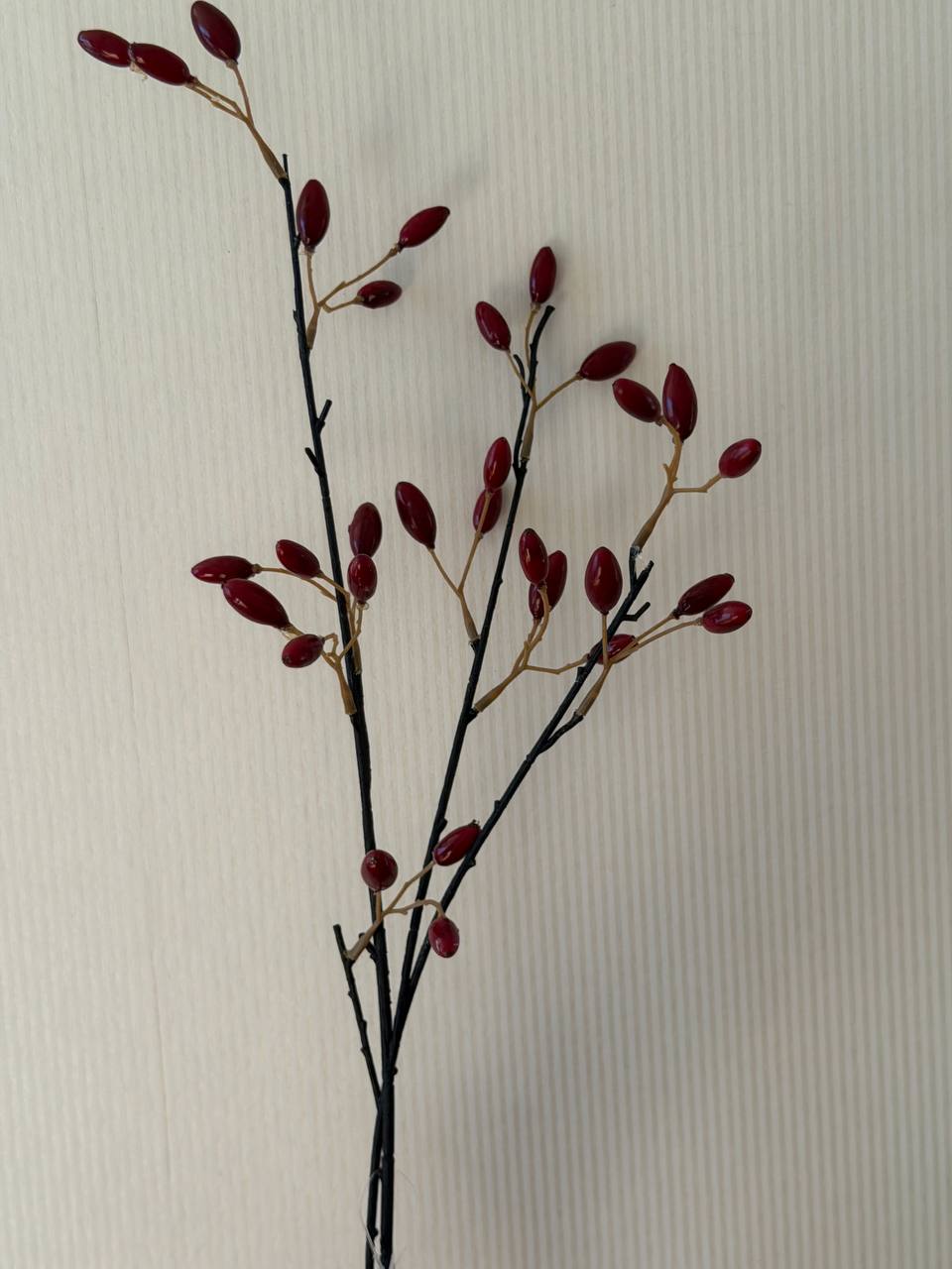гілка шипшини червона
